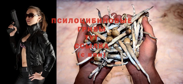 метадон Абаза