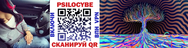 Псилоцибиновые грибы Psilocybe  Алапаевск 